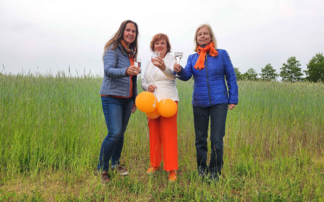 Panketal: Trinkwasser schützen:  Keine überdimensionierte  Flächenversiegelung auf dem Lauseberg!